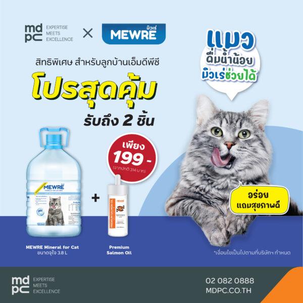 MEWRE  น้ำดื่มสำหรับแมวสุดคุ้ม