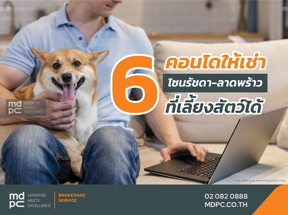 MDPC ขอแนะนำ 6 คอนโดให้เช่าโซน รัชดา-ลาดพร้าว ที่เลี้ยงสัตว์ได้ (อัพเดตปี 2020)