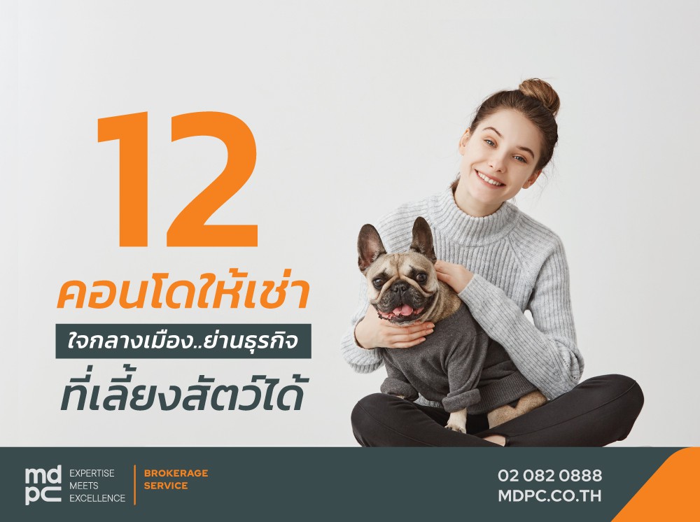 แนะนำ 12 คอนโดให้เช่าใจกลางเมือง ที่เลี้ยงสัตว์ได้! อัพเดตปี 2020