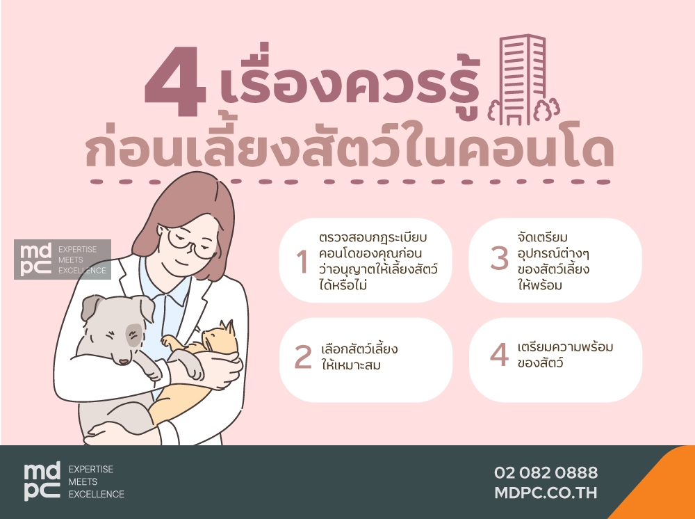 4 เรื่องควรรู้ ก่อนเลี้ยงสัตว์ในคอนโด