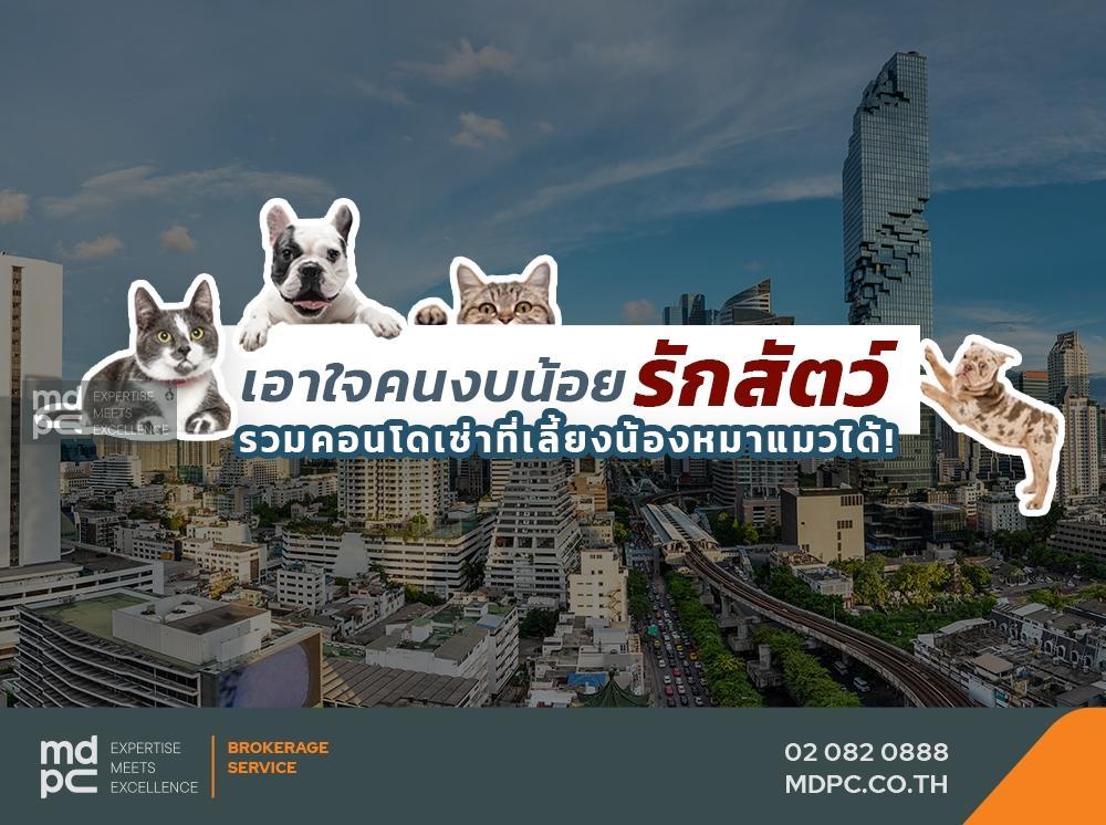 เอาใจคนงบน้อยรักสัตว์! รวม 4 คอนโดเช่าเลี้ยงน้องหมาแมวได้