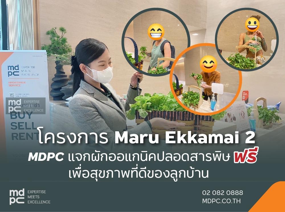 MDPC แจกผักออแกนิคปลอดสารพิษ ฟรี! เพื่อสุขภาพที่ดีของลูกบ้าน