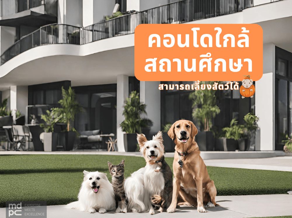 คอนโดใกล้สถานศึกษา สามารถเลี้ยงสัตว์ได้
