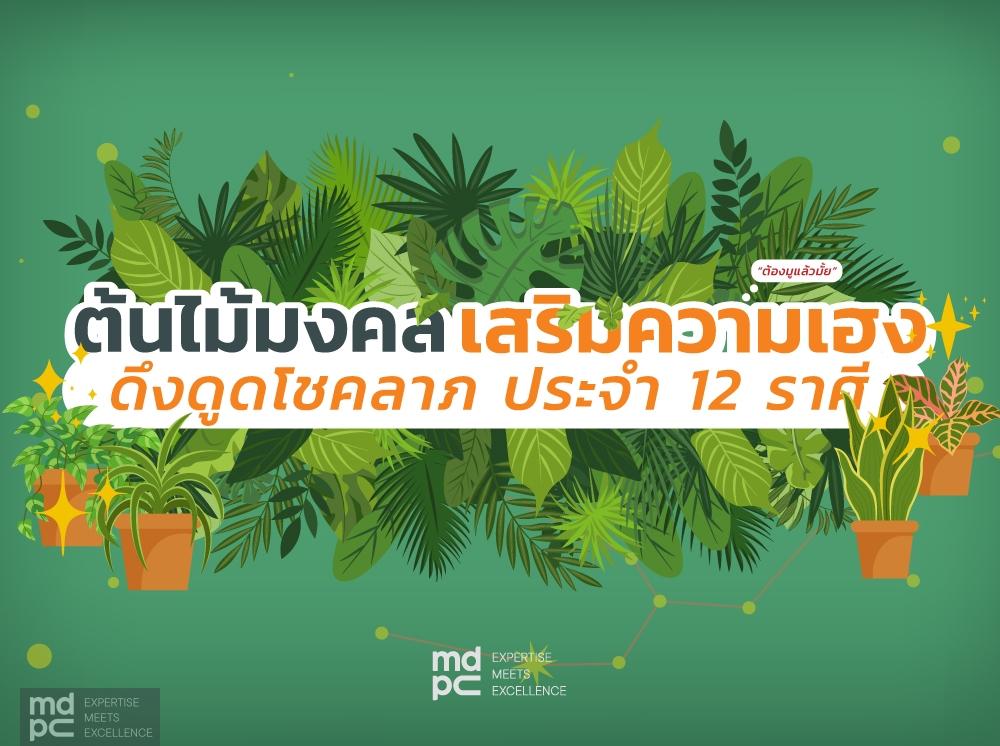 ต้นไม้มงคล เสริมความเฮง ดึงดูดโชคลาภ ประจำ 12 ราศี