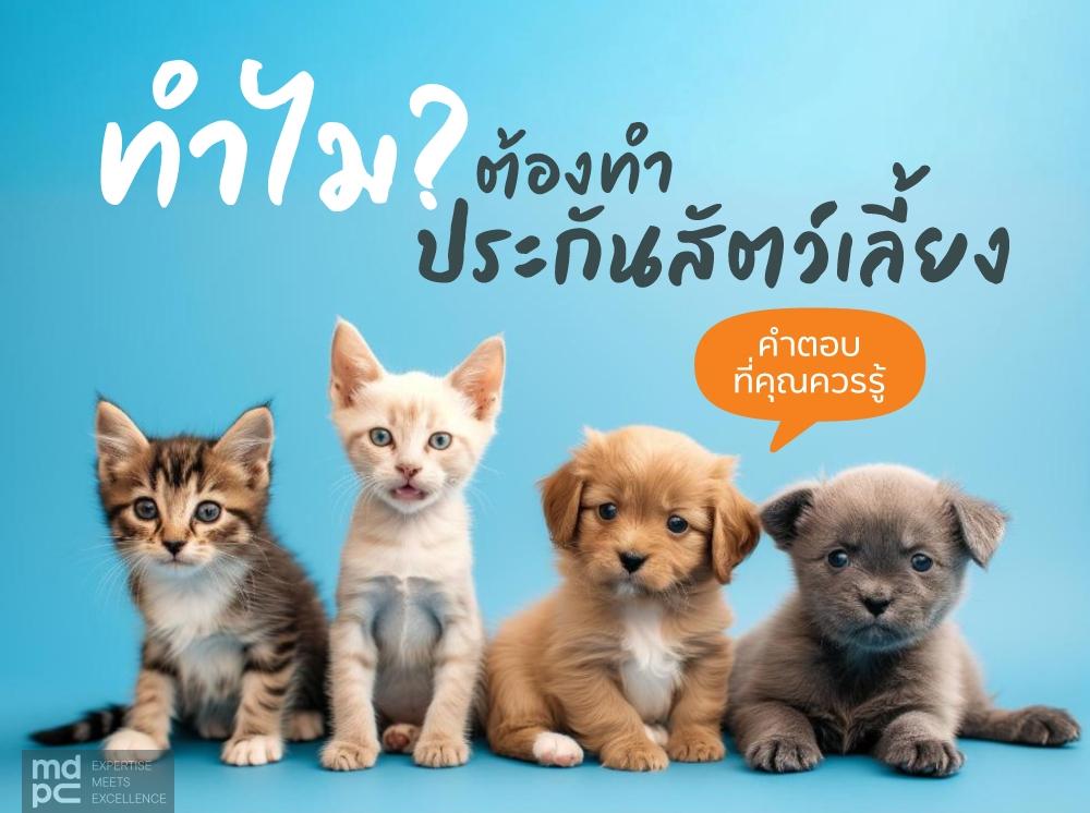 ทำไมต้องทำประกันสัตว์เลี้ยง?