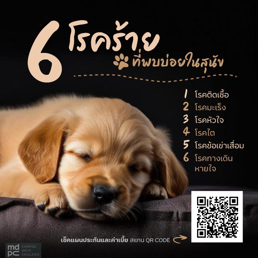 โรคที่พบบ่อยในสุนัข