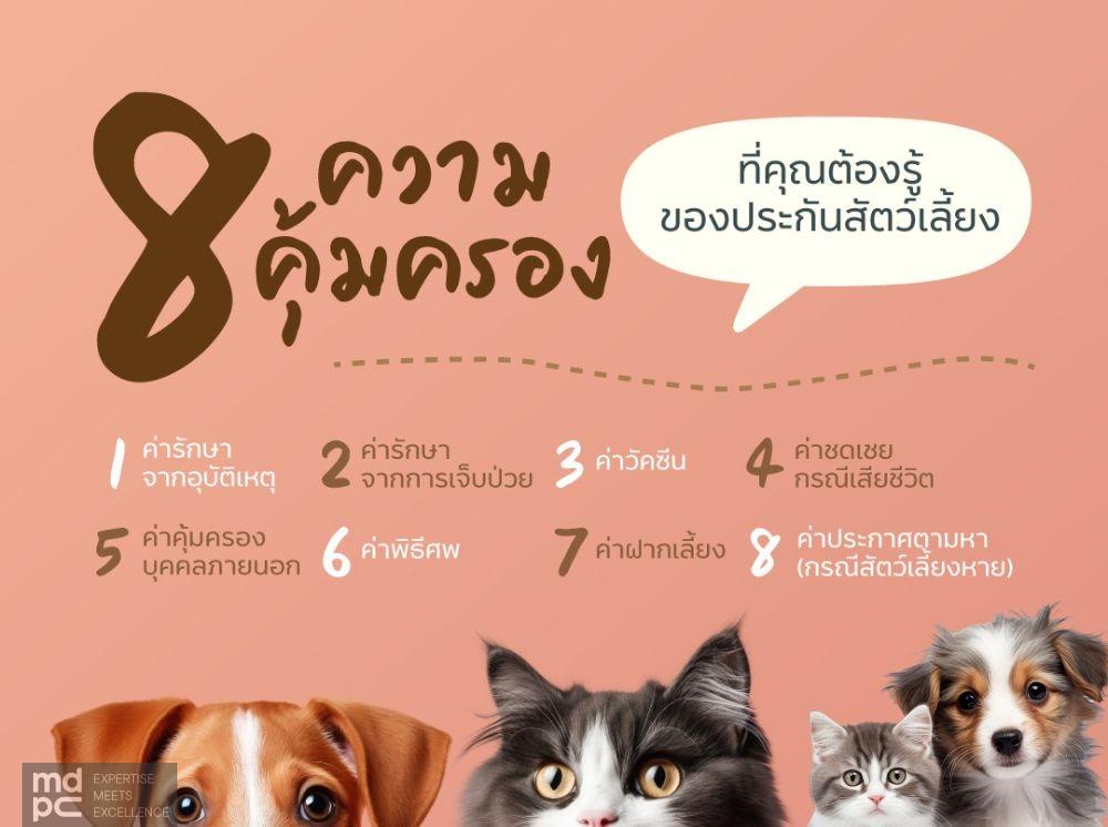 8 ความคุ้มครองที่คุณต้องรู้ สำหรับประกันสัตว์เลี้ยง